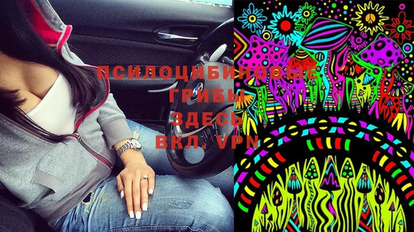 ECSTASY Армянск