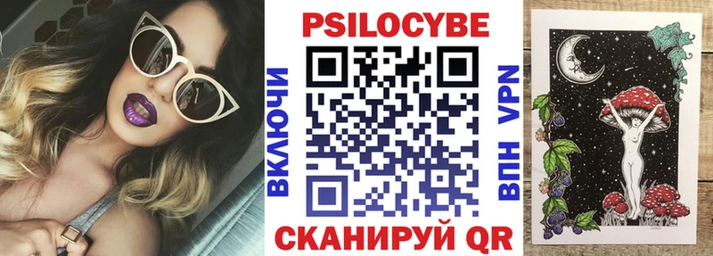 Купить где  Ульяновск  Галлюциногенные грибы Psilocybe 